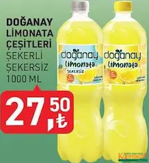 DOĞANAY LİMONATA ÇEŞİTLERİ 1 L fiyat ve kampanya bilgisi